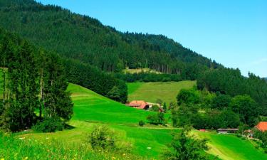 Hoteles económicos en Bad Liebenzell