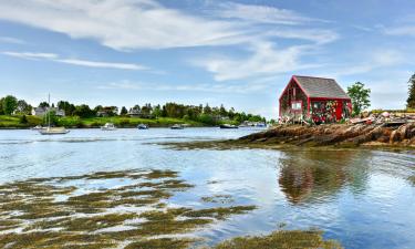 Holiday Homes in Casco