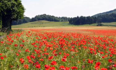 Hotéis em Bad Münster am Stein-Ebernburg