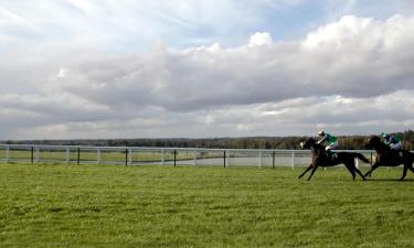 Hoteles en Towcester