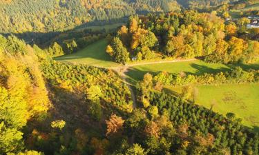 Family Hotels in Himmelreich