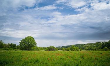 Holiday Rentals in Orahovica