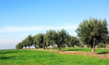 Παραθεριστικές κατοικίες σε Laundos