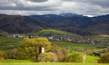 Hoteles en Oberwolfach