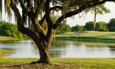 Holiday Homes in Milton