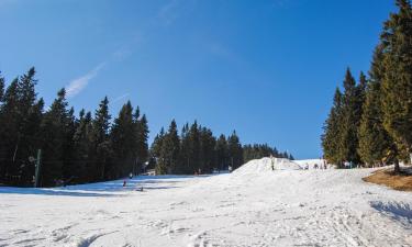 Hôtels pour les familles à Martinské hole