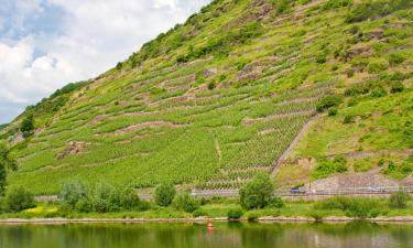 Hotely s parkovaním v destinácii Mülheim an der Mosel