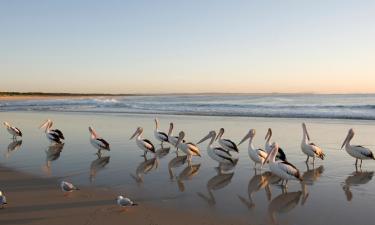 Hoteles en Tuncurry