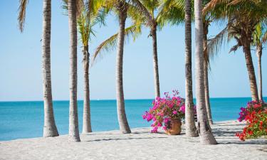 Beach Hotels in Río Hato