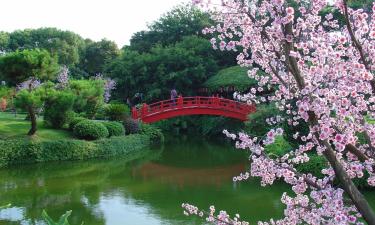 Hotels in Suzaka