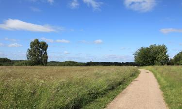 Ferieboliger i Greve Strand