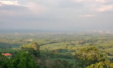 Pueblo Tapao'daki evcil hayvan dostu oteller