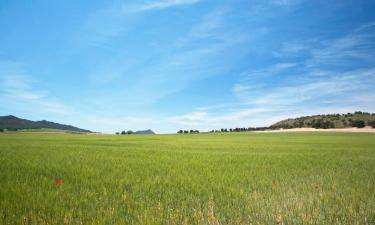 Hôtels à Casas Ibáñez