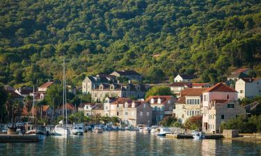 Apartments in Zlarin