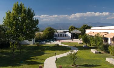 Hoteluri ieftine în Navalmoral de la Mata