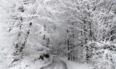 Ski Resorts in Donnersbachwald