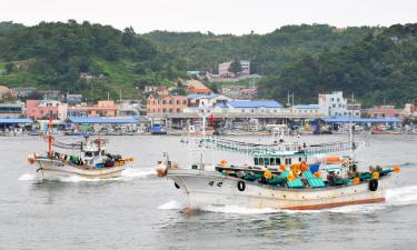 Hotéis que Aceitam Animais de Estimação em Goseong