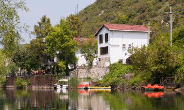 Hoteles familiares en Ağva