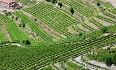 Bed and breakfasts a Sant'Ambrogio di Valpolicella