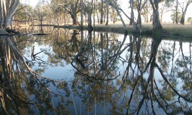 Hoteles en Bairnsdale