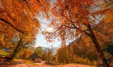 Ceilloux şehrindeki otoparklar