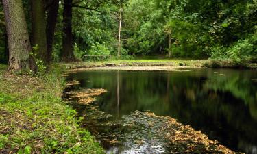 Parkolóval rendelkező hotelek Łochówban