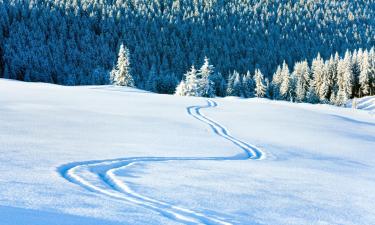 Ski Resorts in Forstau