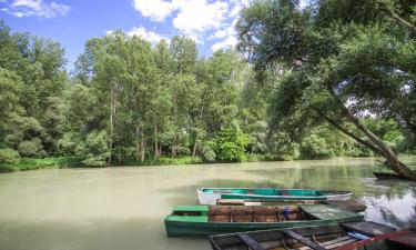 Proprietăți de vacanță aproape de plajă în Lipót