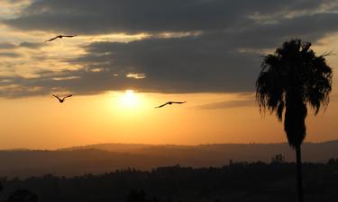 Hotel a Kisii