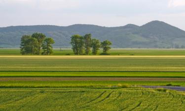 Hotels in Bareggio