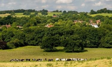 Hotels mit Parkplatz in Wellesbourne Hastings