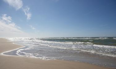 Feriehuse i Vejers Strand