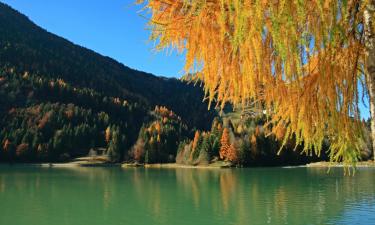 Hotels with Pools in Alleghe