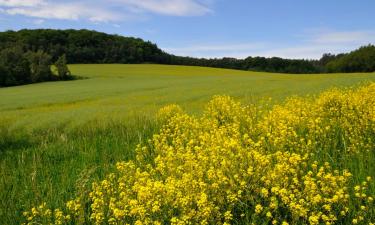 Hoteller i Griesheim