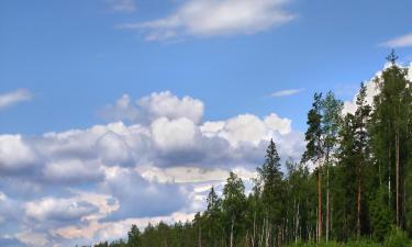 Holiday Homes in Pine Mountain