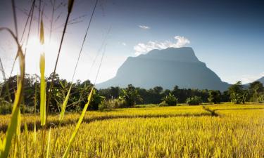 Hoteles en Doi Saket