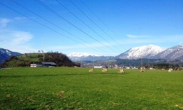 Guest Houses in Bad Häring