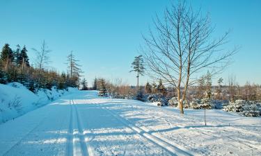 Hotels with Parking in Schöneck