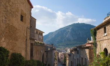 Casas y chalets en Selva