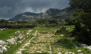 Villaer i Benalup Casas Viejas