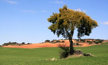 Departamentos en Bronchales