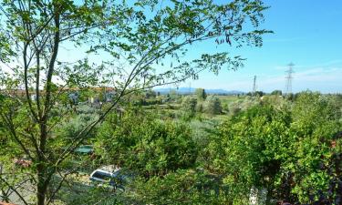 Hoteles familiares en Cenaia