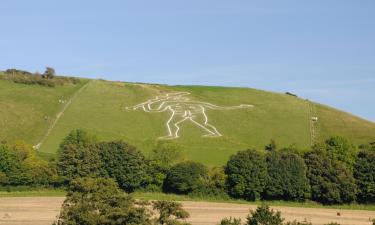 Holiday Homes in Cerne Abbas