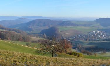 Hotel-hotel bajet di Liestal