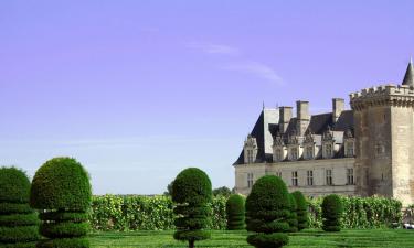 Hotels with Parking in Vaudelnay