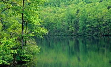 Hotely s parkováním v destinaci Lultzhausen