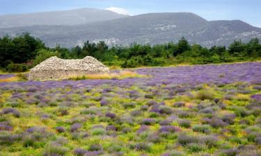 Family Hotels in Reilhanette