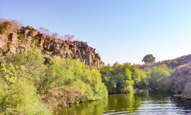 Hoteles familiares en Qasrîne