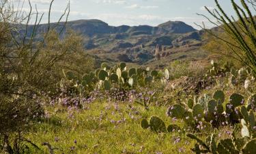 Hotels with Parking in Gold Canyon