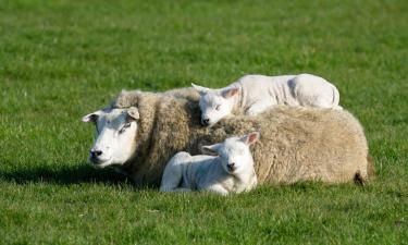 Farm Stays in Bredasdorp